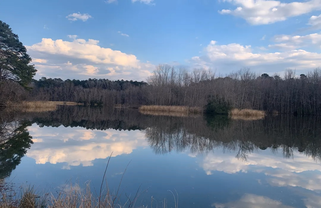 Palmetto Trail Eutaw Springs Passage